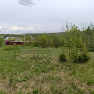 Сергиев Посад Участок