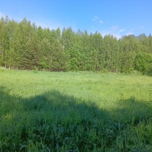 Сергиев Посад Участок