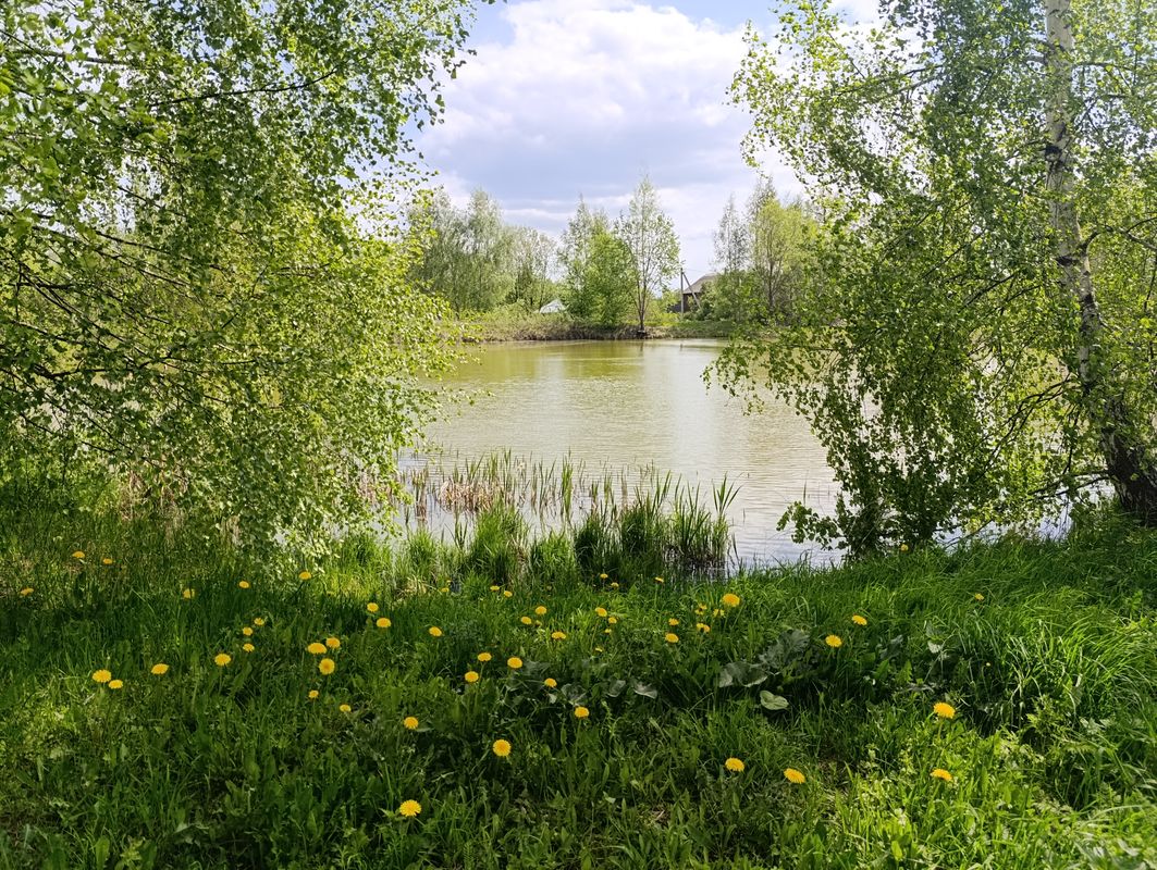 Сергиев Посад Дом