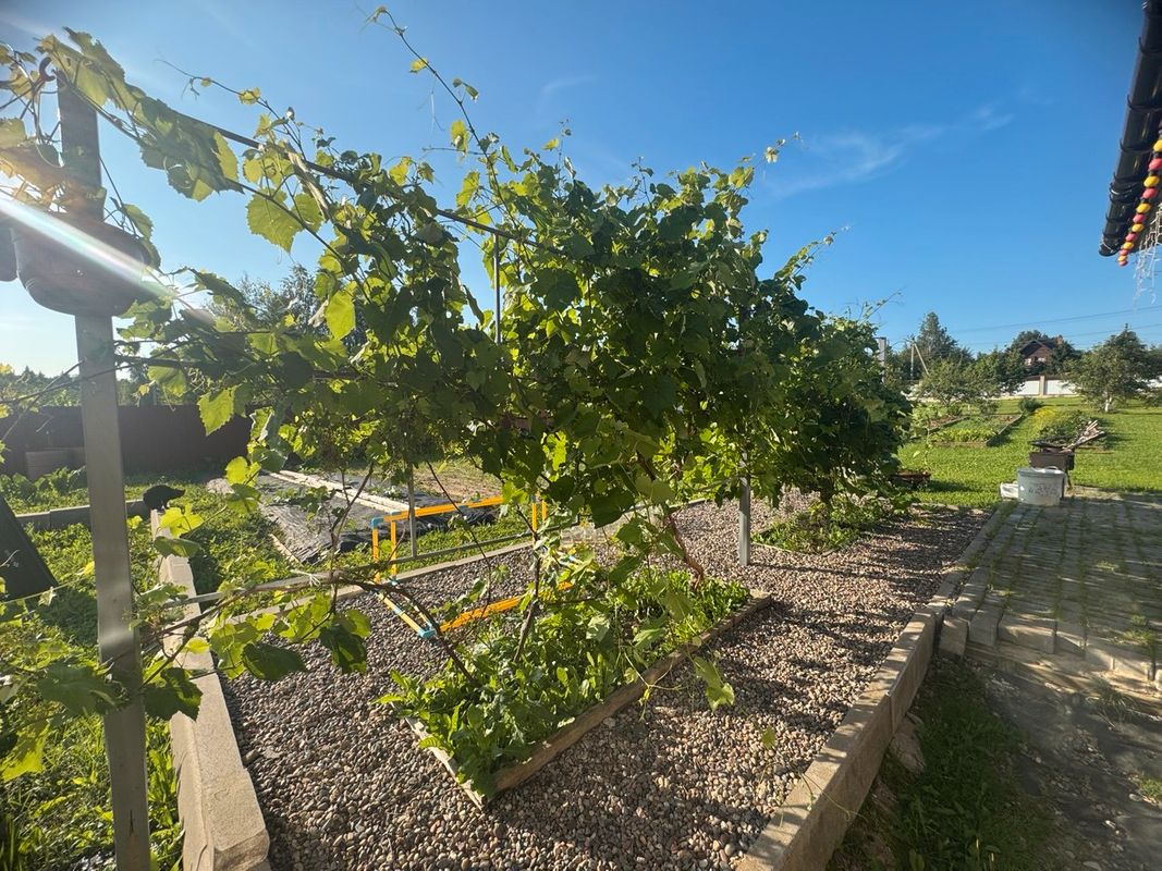 Сергиев Посад Дом