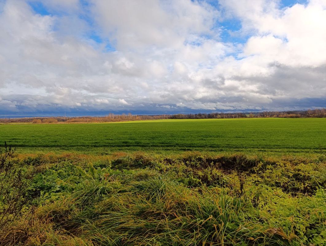 Сергиев Посад Дача