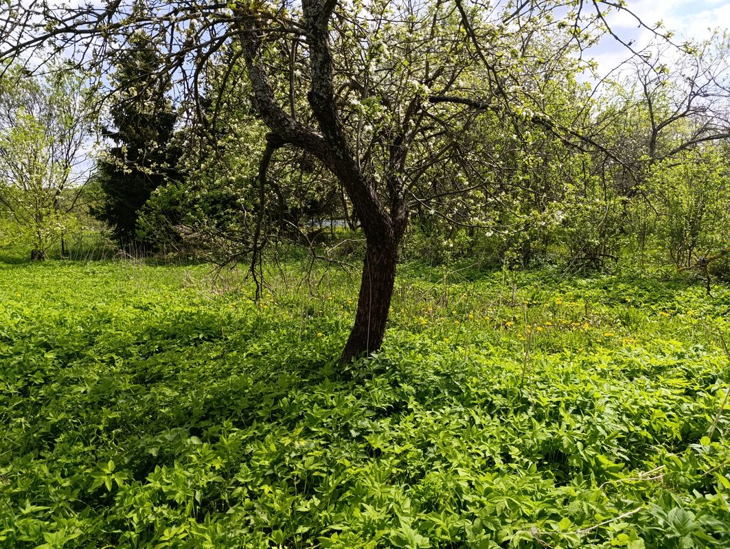 Сергиев Посад Дом