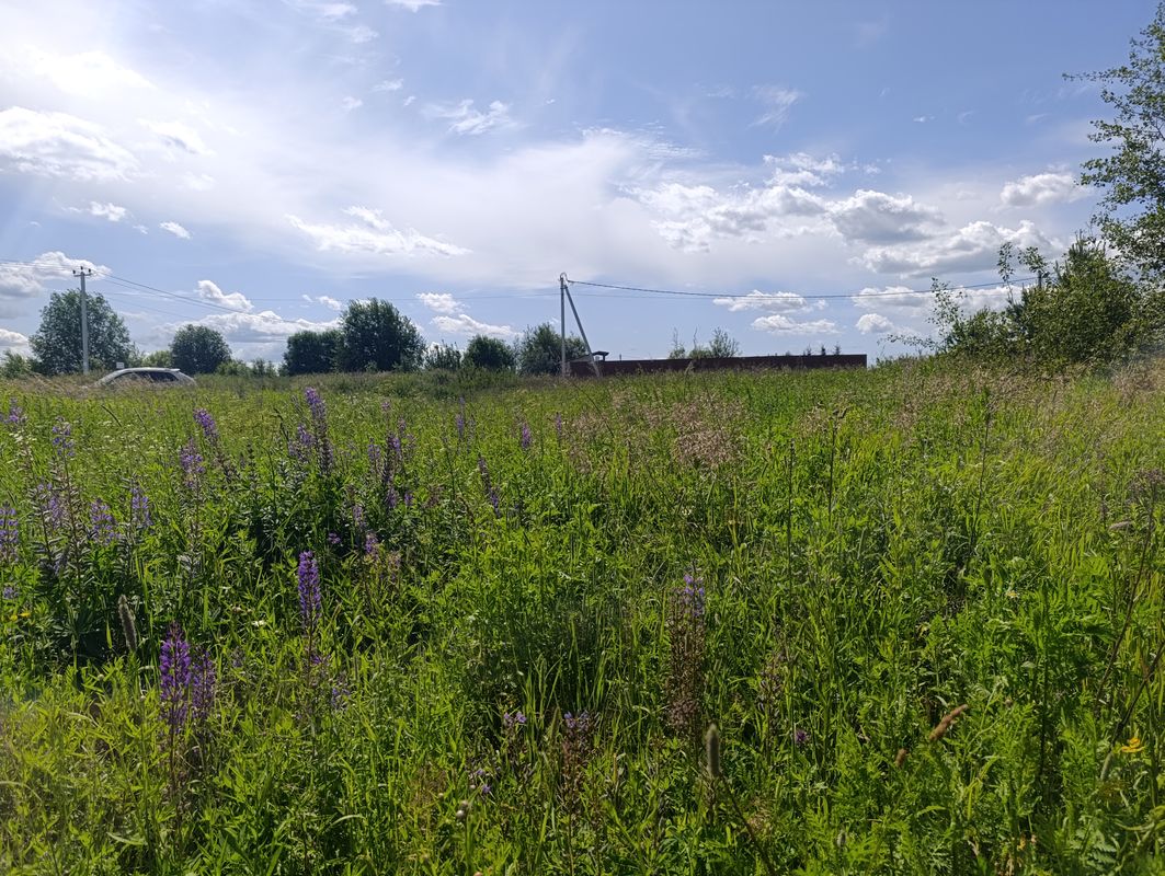 Сергиев Посад Участок