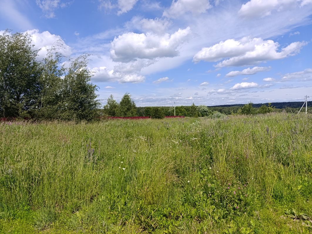 Сергиев Посад Участок