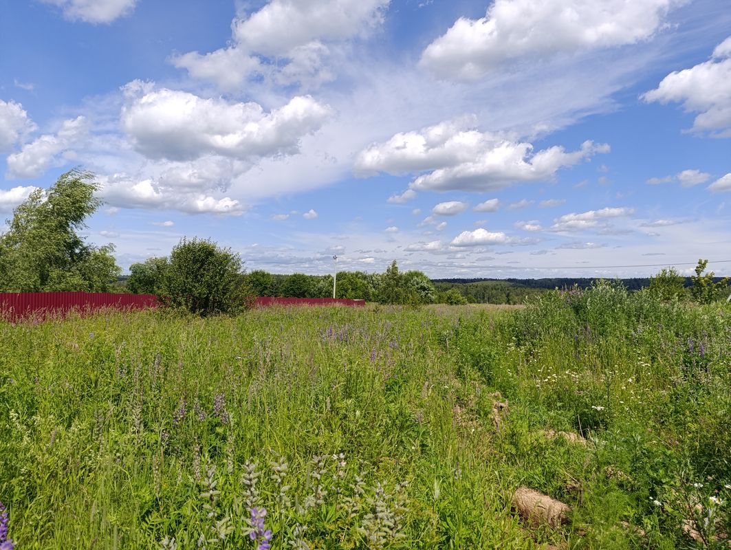 Сергиев Посад Участок