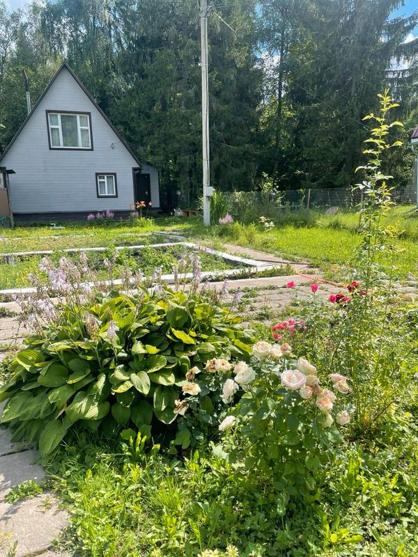 Сергиев Посад Дом