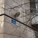 Пушкино Квартира