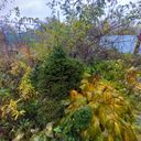 Сергиев Посад Дача