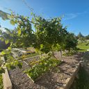 Сергиев Посад Дом