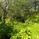 Сергиев Посад Дом