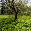 Сергиев Посад Дом