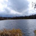 Сергиев Посад Дача