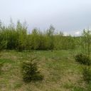 Сергиев Посад Участок