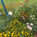 Сергиев Посад Дом