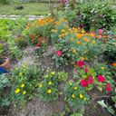 Сергиев Посад Дом