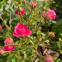 Сергиев Посад Дом